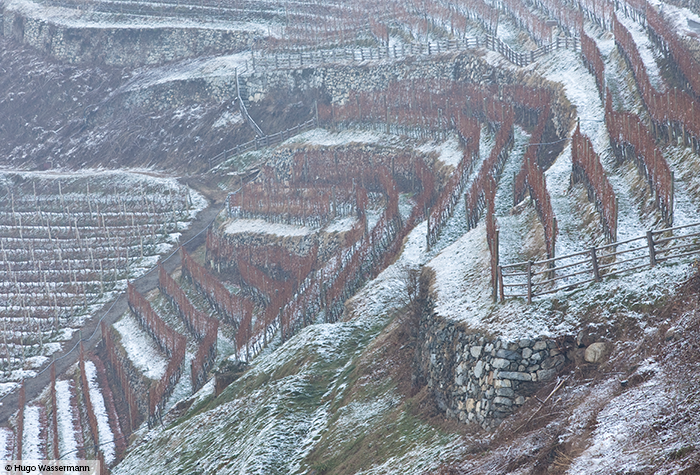 Augustiner Chorherrenstift Neustift